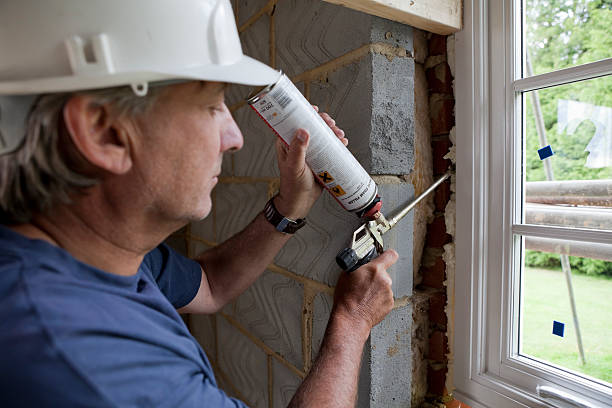 Best Best Insulation Companies  in Austin, MN