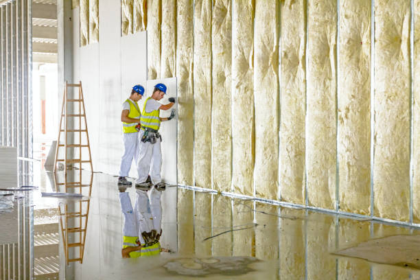 Best Blown-in Insulation  in Austin, MN